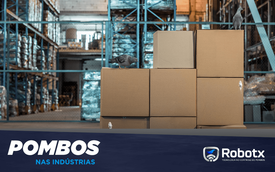 Boas Práticas de Fabricação e o Controle de Pombos.