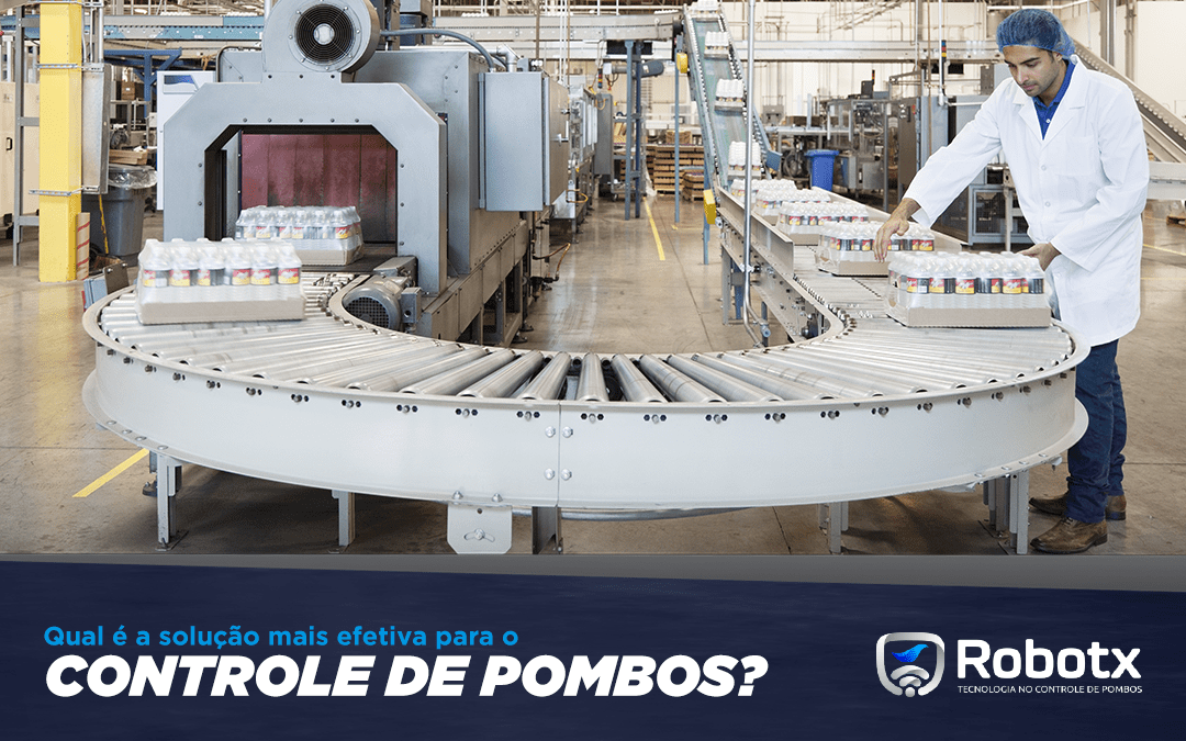 Controle de pombos: Qual é a solução mais efetiva?