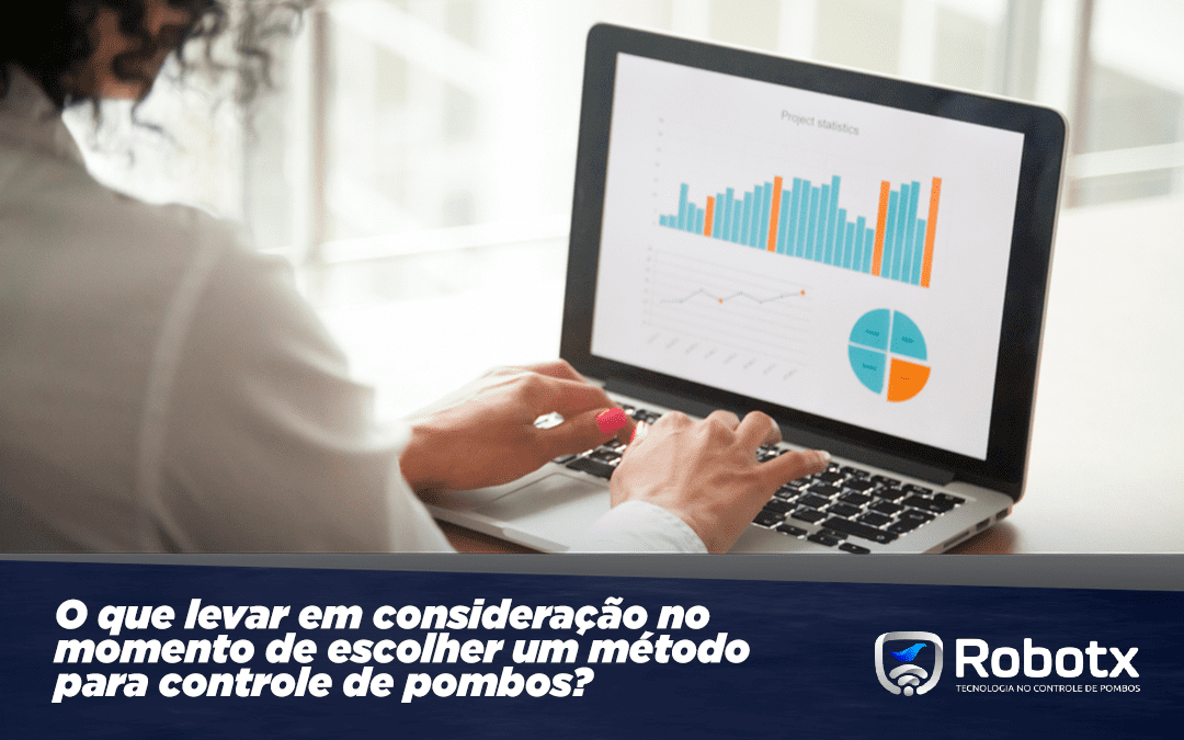 O que levar em consideração na escolha de um método para controle de pombos?